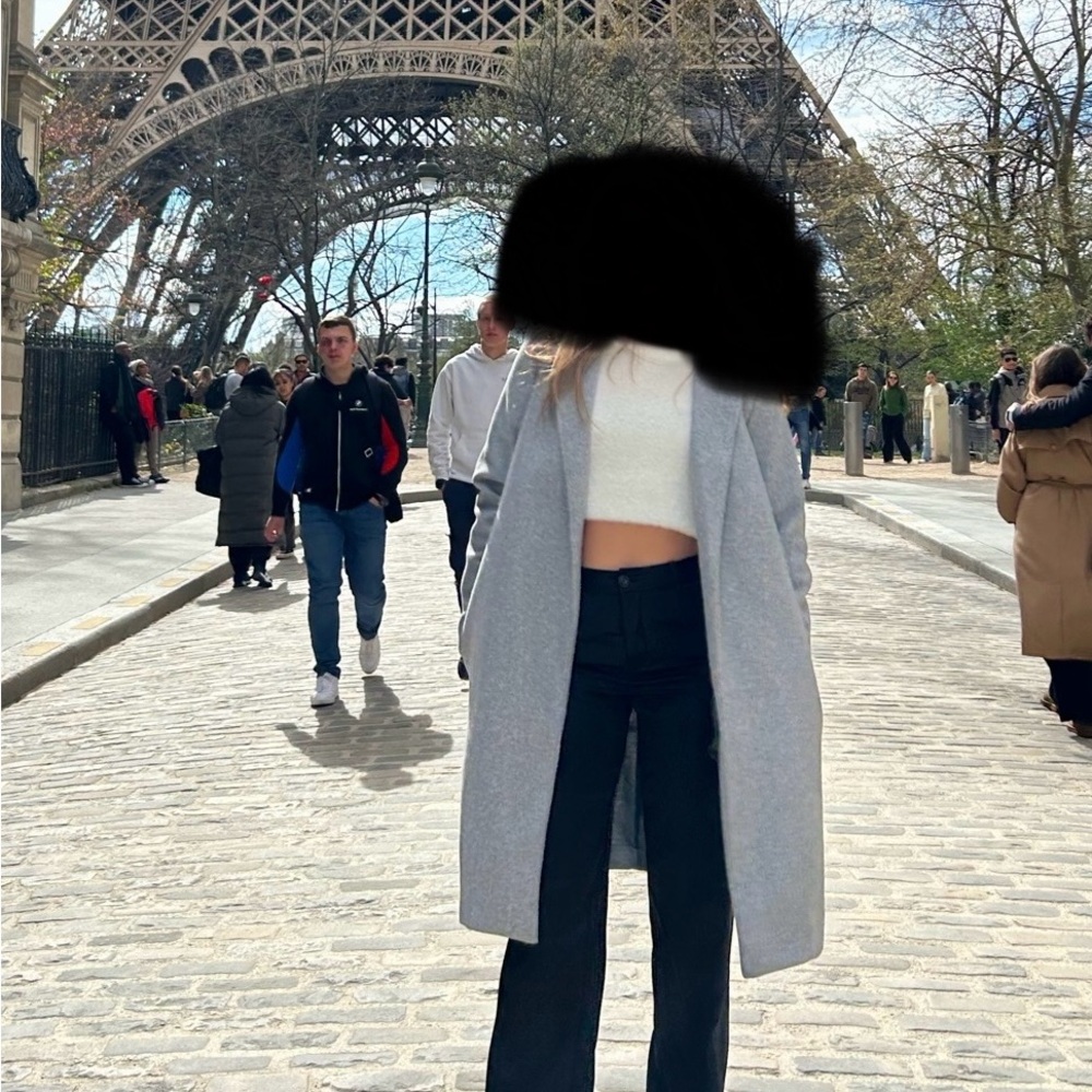 Aritzia Wilfred Trench coat